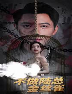 傅少的私宠罪妻2