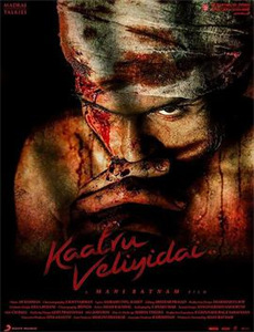 我的万人迷总裁老婆