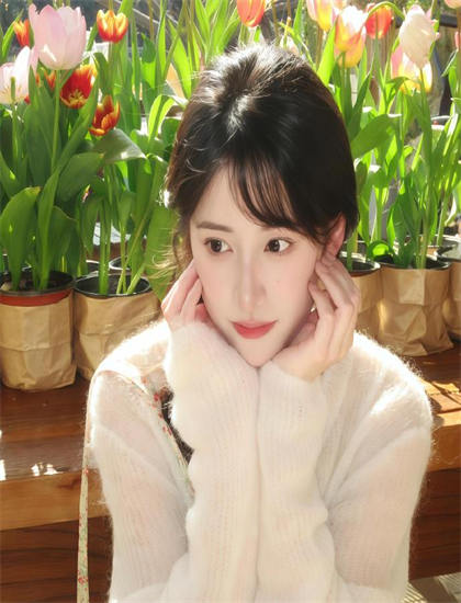 《保镖哈斯尔》有哪些精彩看点？亮点情节详细解析