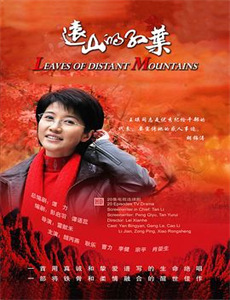 过年回家大战臭小子