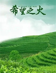 变装让他成为他