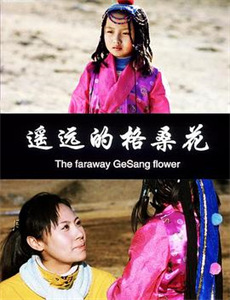 闪婚成宠神医娇妻美又飒