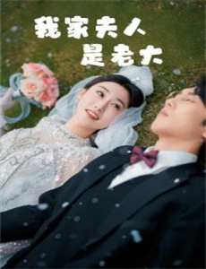 我的青春小鸟一去再回来